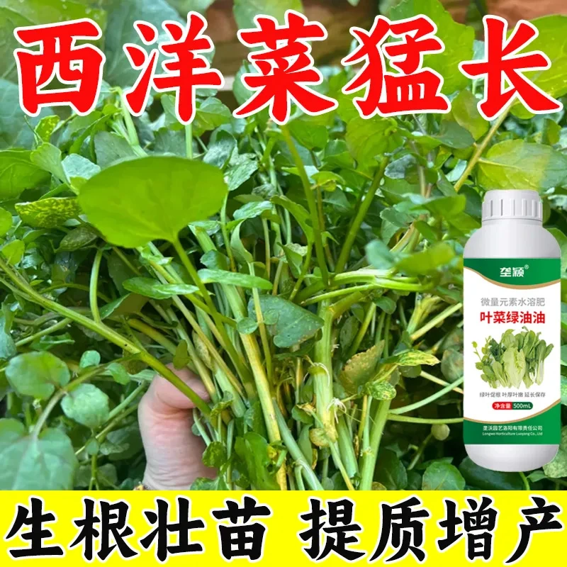 西洋菜专用肥料膨大素叶片嫩绿叶厚壮根增产增收助长剂水溶叶面肥