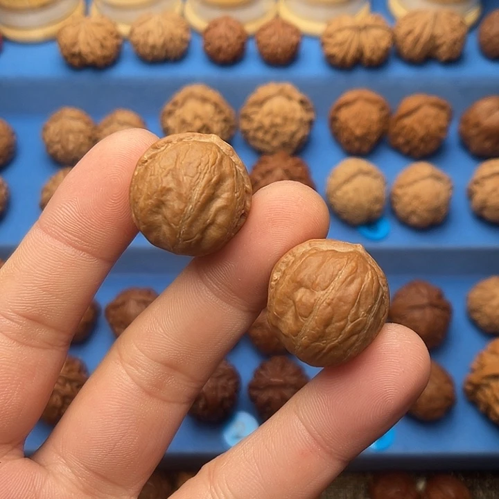 文玩核桃把件胖头陀小号