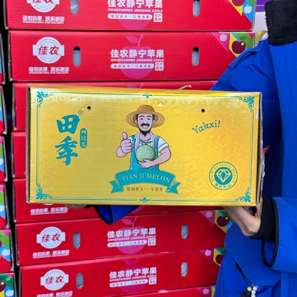 田季冰淇淋网纹瓜一箱