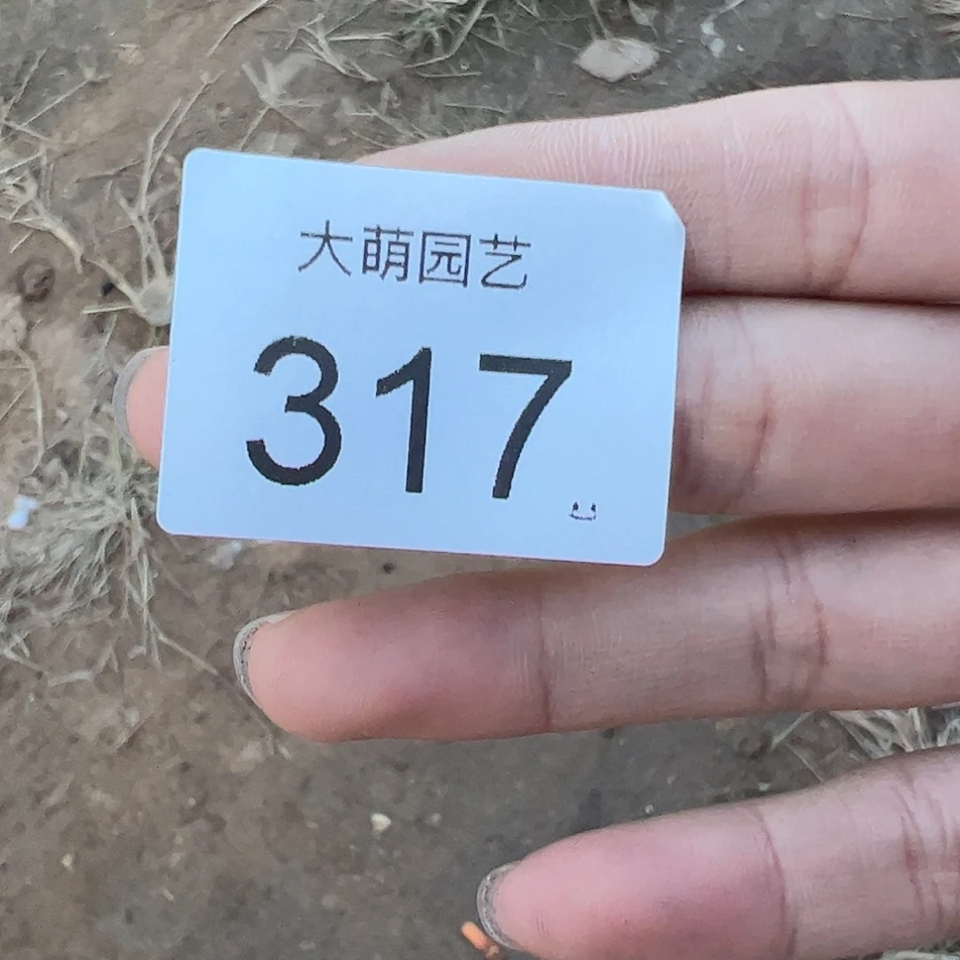 ****。一物一拍。     317