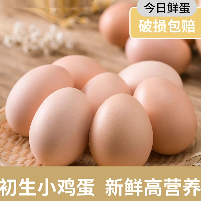 广东清远正宗初生蛋，清远英德散养土鸡蛋，自产现捡现发30枚