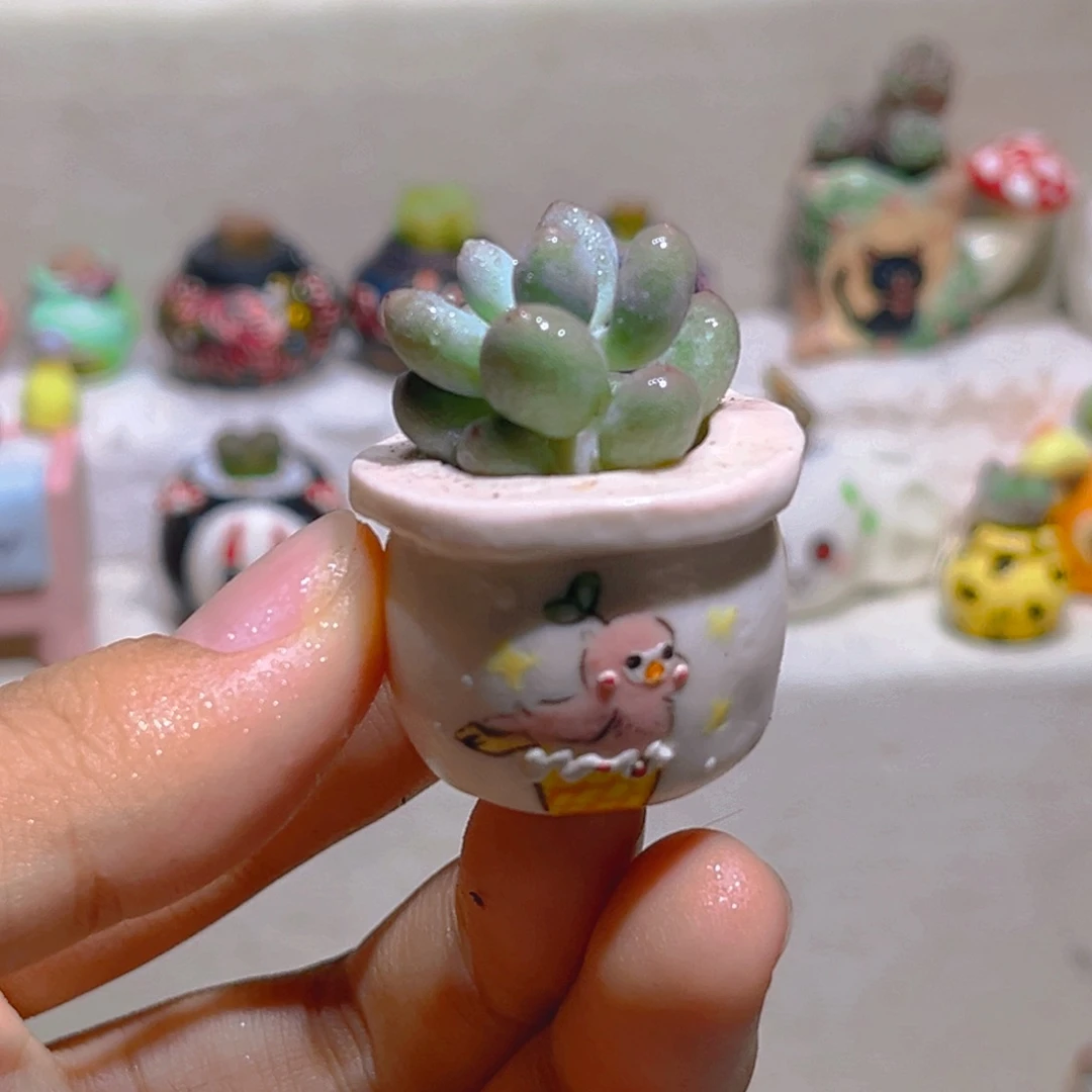 030草莓汤圆带盆带土手工盆