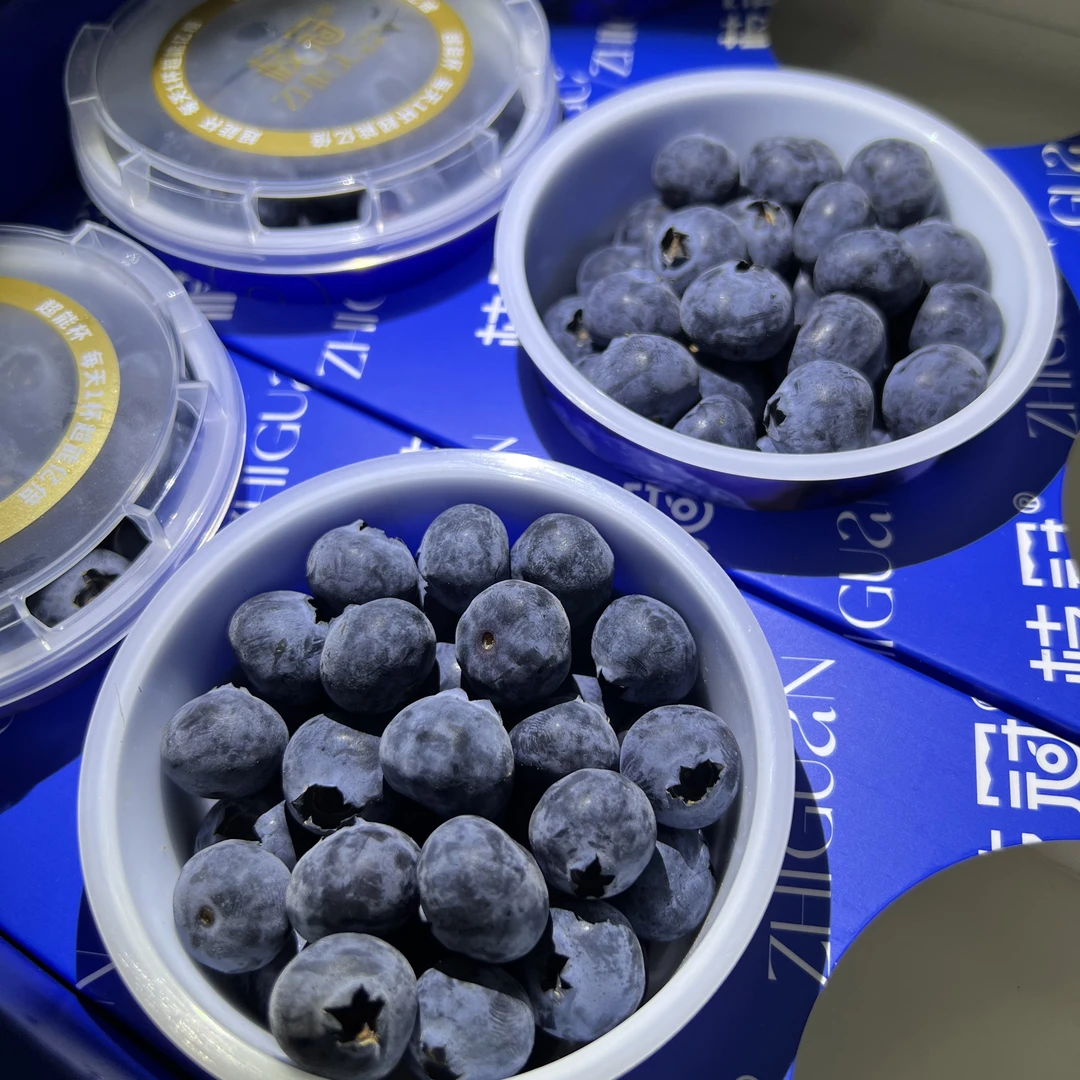 【阿良甄选】云南枝冠蓝莓9杯装单杯100g新鲜水果顺丰包邮