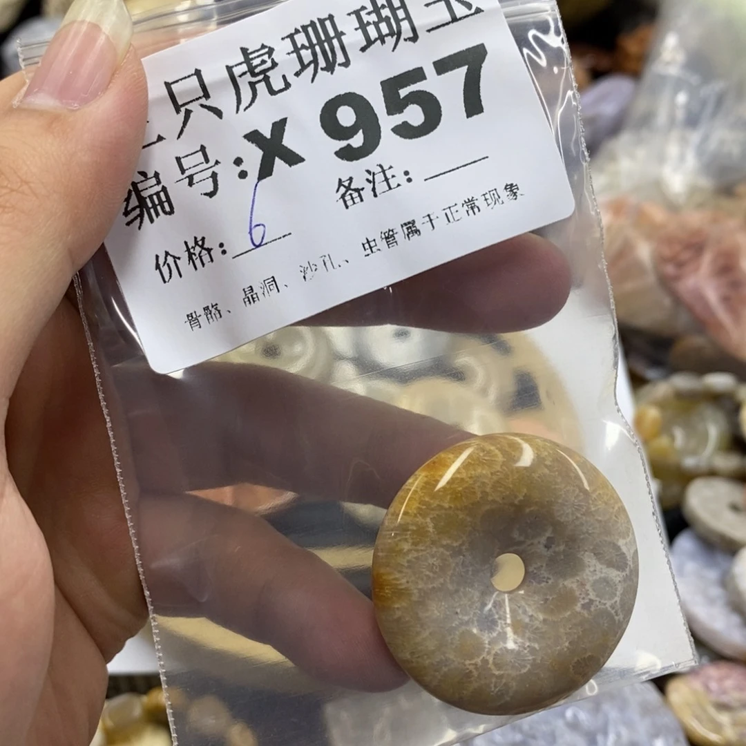 硅化珊瑚（珊瑚玉）未镶嵌X鱼