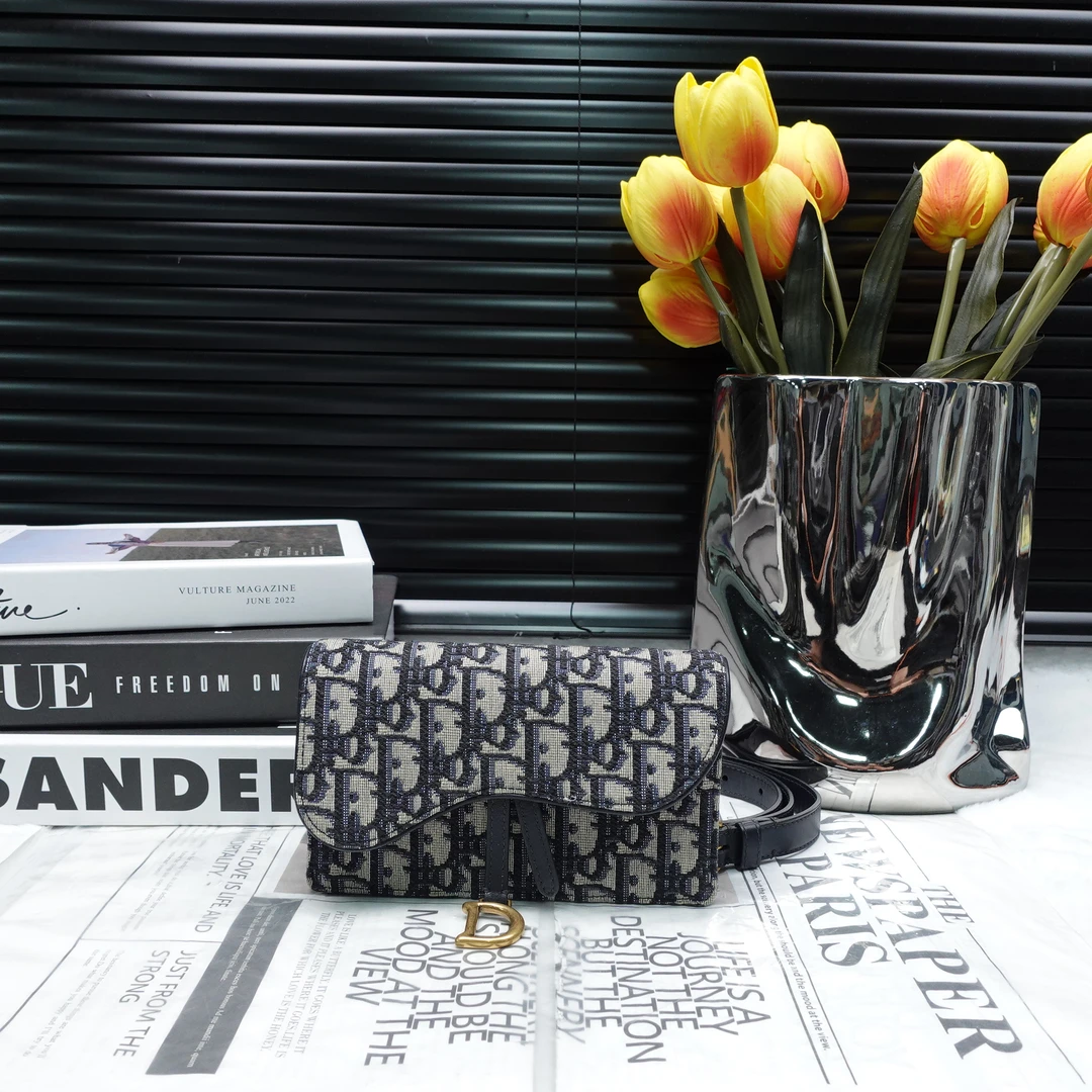 95新 DIOR/迪奥 胸包/T10186681