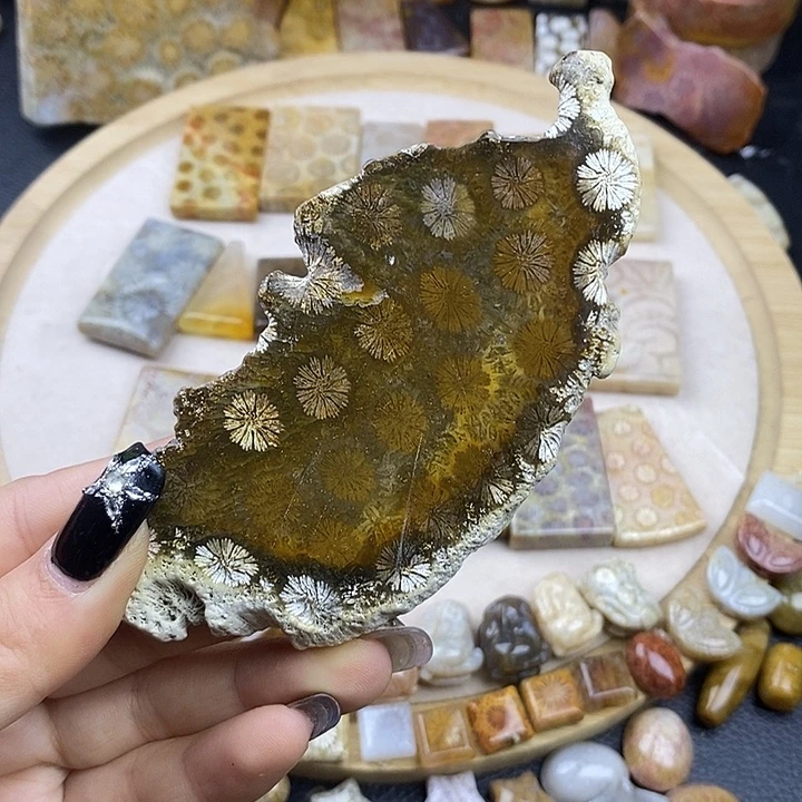 硅化玉未镶嵌颈饰