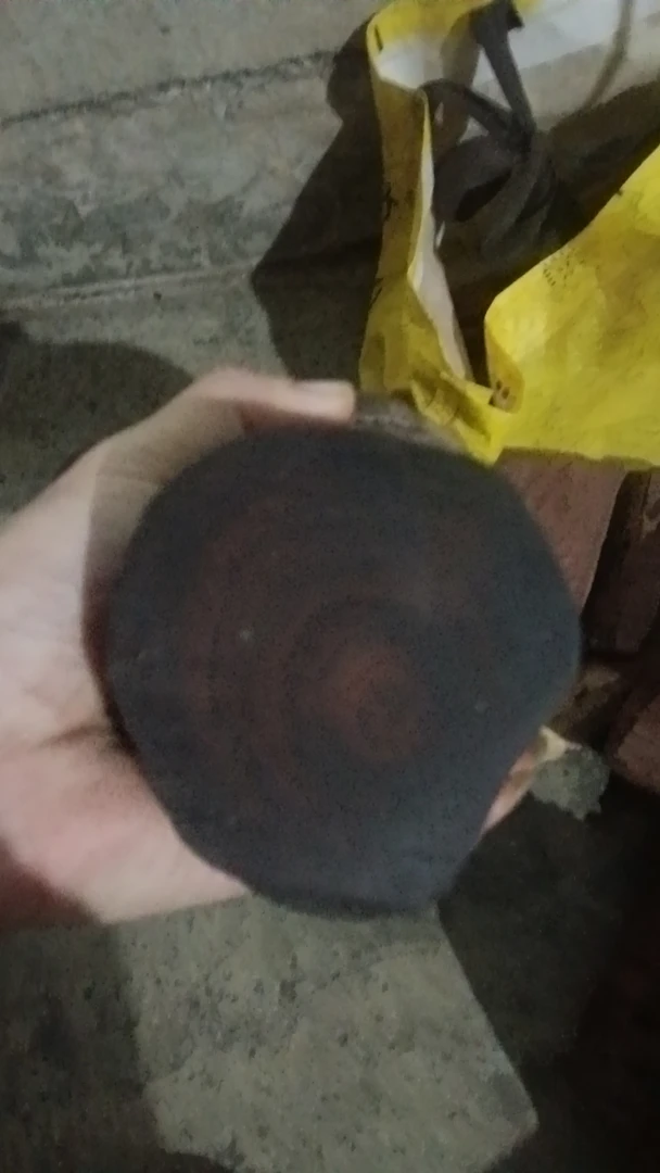 海南黄花梨原树木片