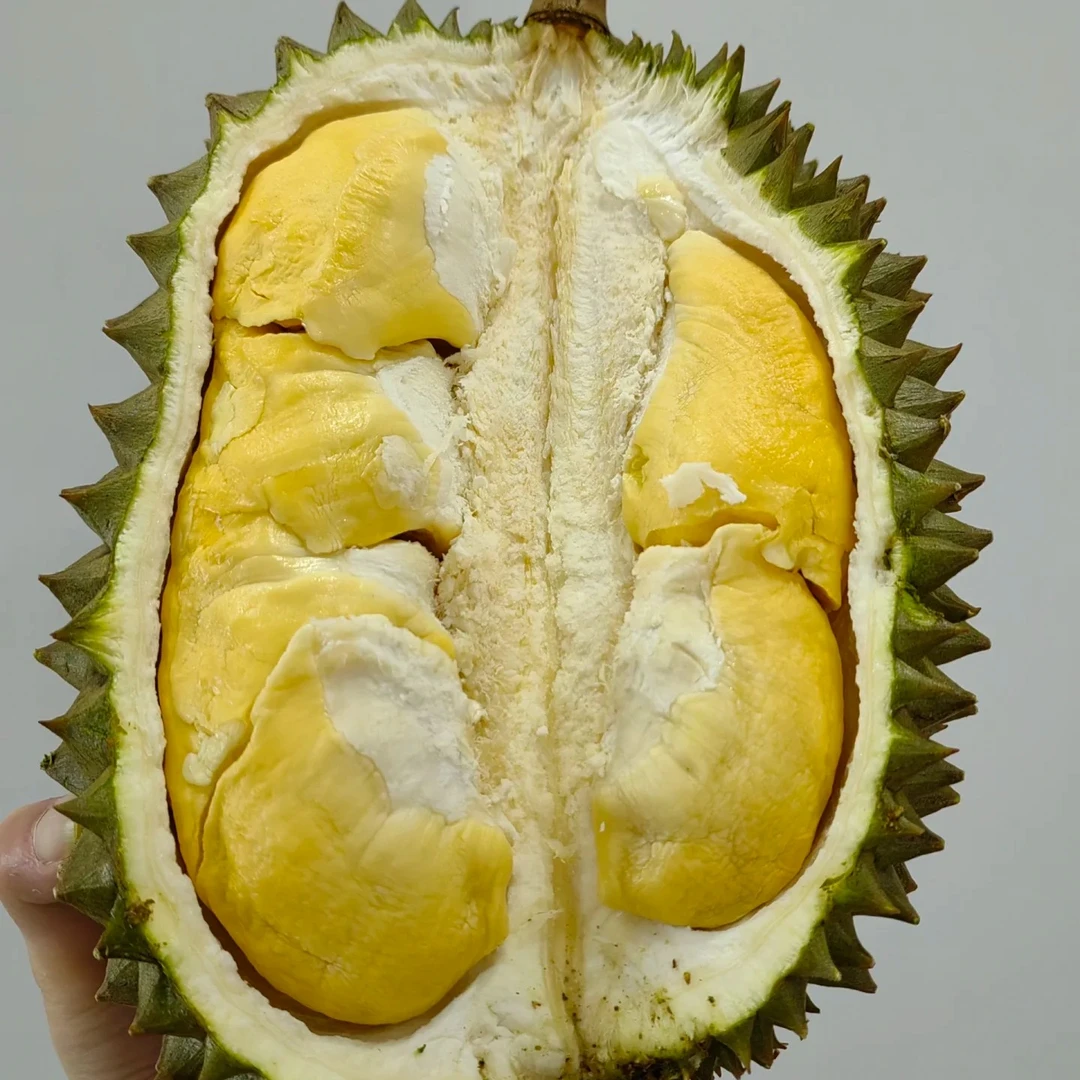 【老沙严选】鸣牌泰国 青尼 树熟鲜果榴莲单颗发货 包4房