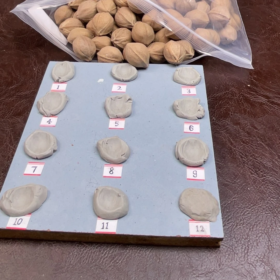 手串/手链橄榄核星*✨22.27梅林铁核