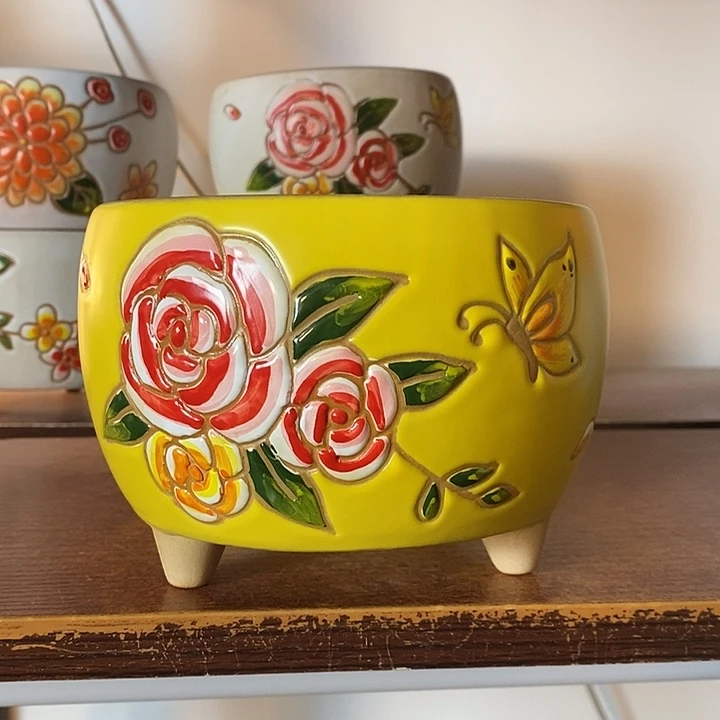 韩式多肉植物花盆