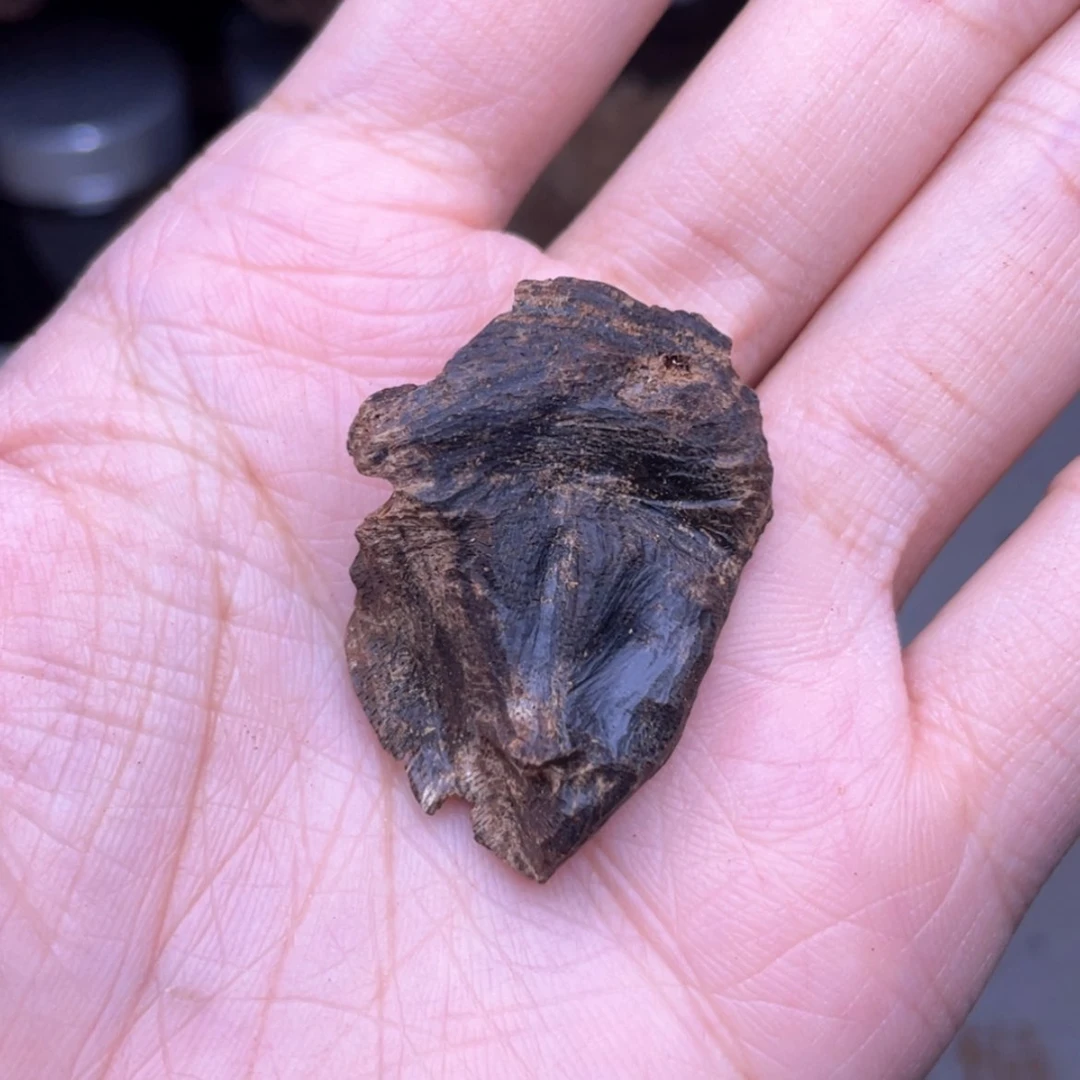 【闪购商品】香榧木越南沉水老包头2.4克