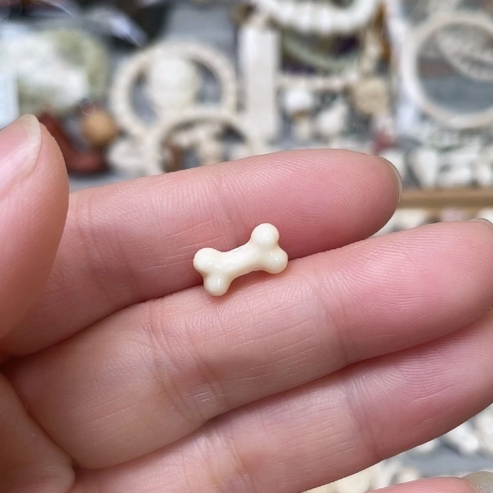 猛犸象牙其他骨头