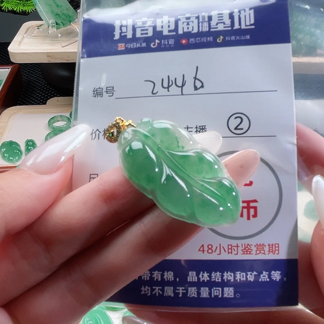 石英质玉未镶嵌颈饰