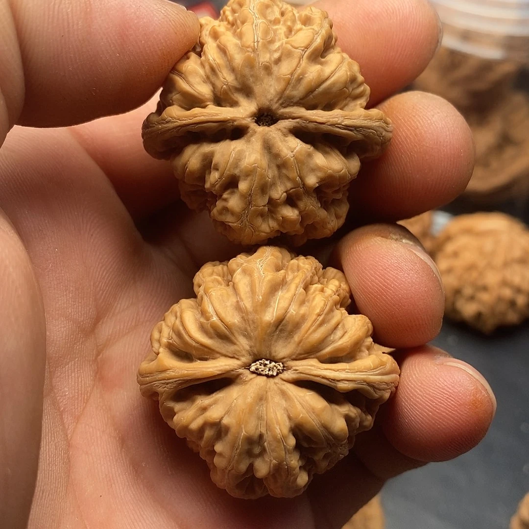 文玩核桃把件数***中粗筋37全品