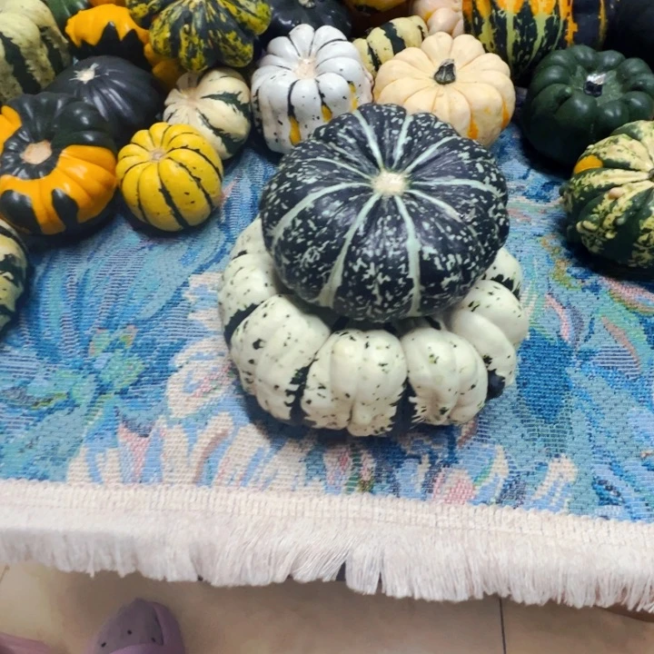 小*卿墨西哥葫芦湖KTV吐哭了