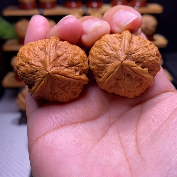 核桃云铁寿桃三棱8号