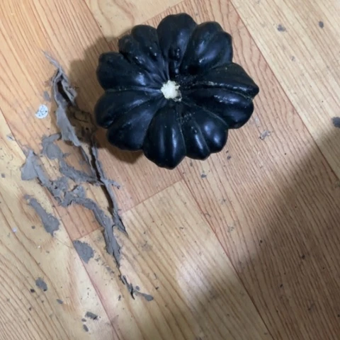 青***春有机玻璃这么好喝好玩不开心就