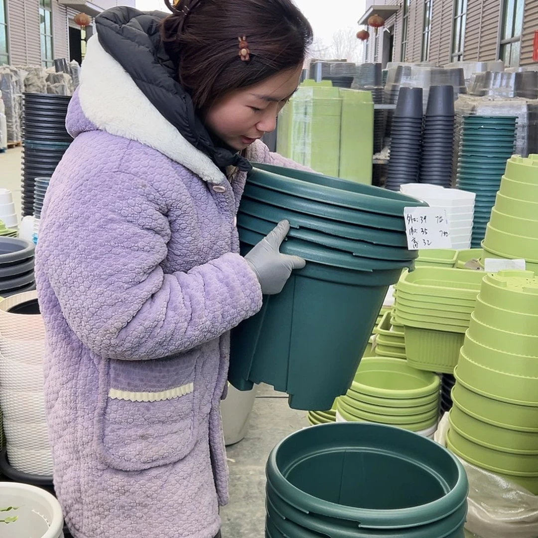 瑕疵青山盆7#墨绿6个无托