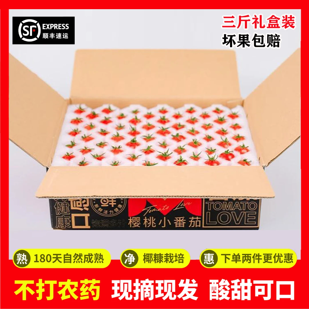 【顺丰包邮】3斤单摘樱桃番茄串式粒采小番茄味浓小西红柿绿色食品