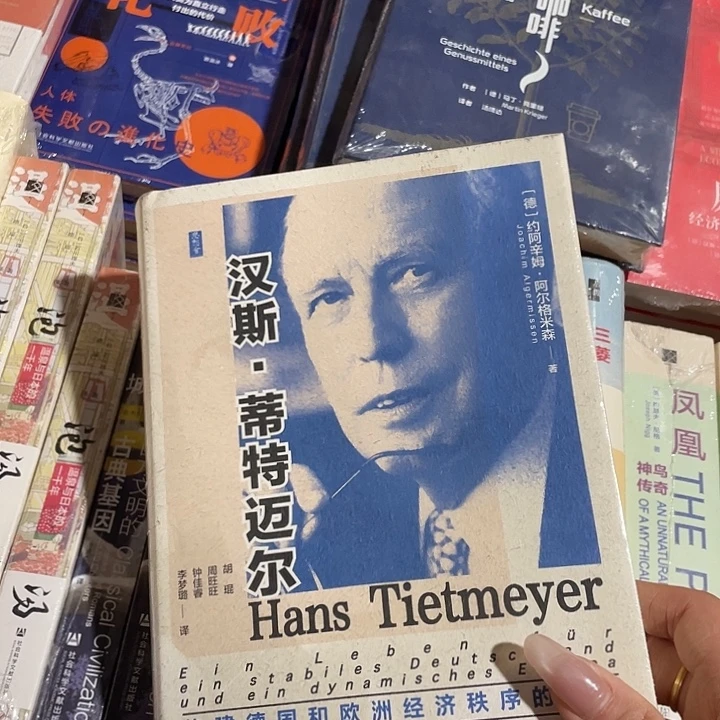 汉斯帝迈尔：微瑕1/