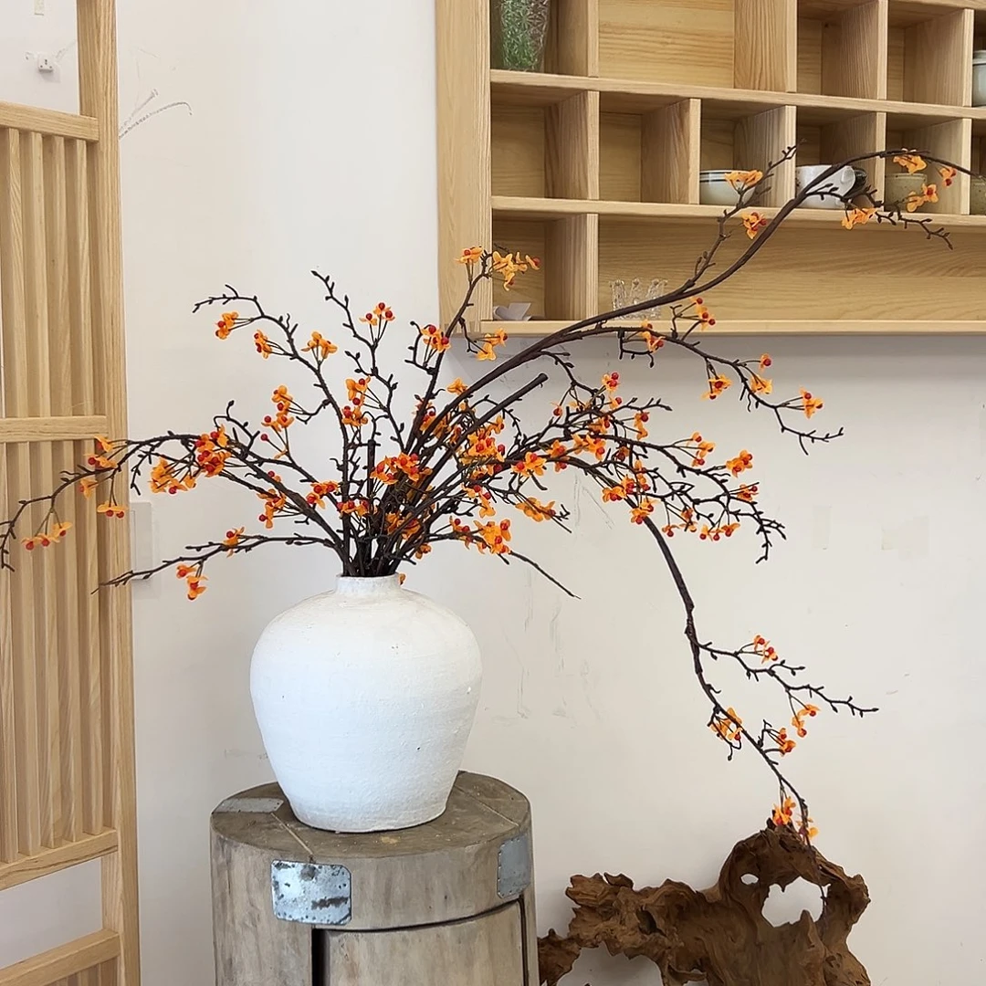 拍样品一套南蛇藤
