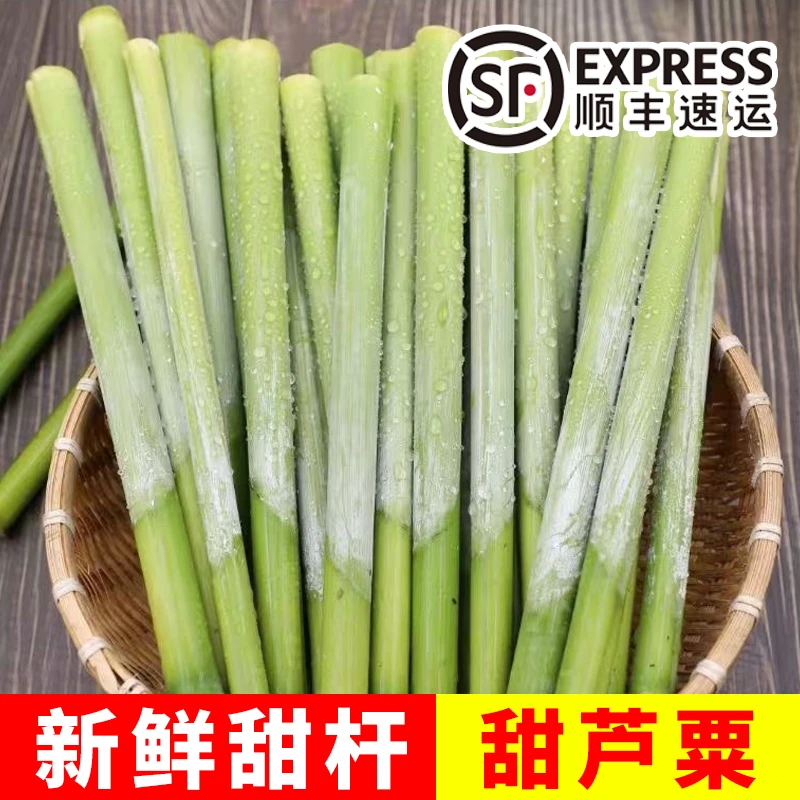 新鲜甜杆 甜芦粟东北甜杆正宗北方甜高粱微甜小时候味道2斤5斤