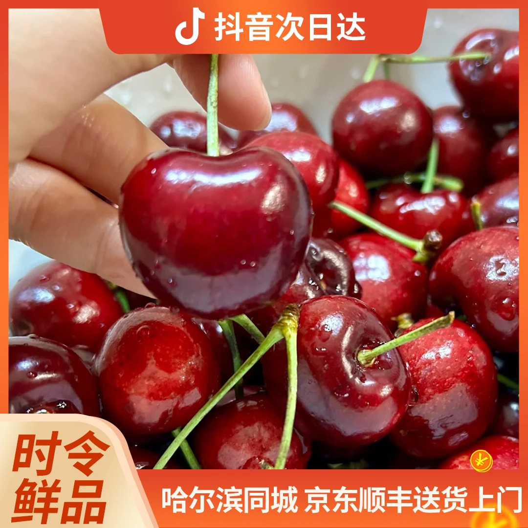 智利进口 拉宾斯3J车厘子 2.5kg/箱（机械伤及裂口10颗内无售后）