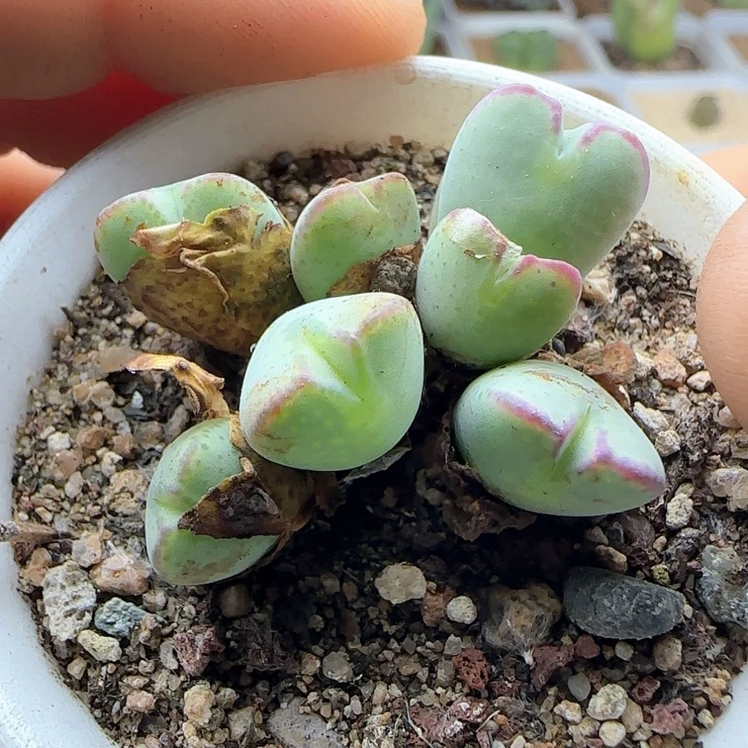 哈哈哈哈哈哈哈哈哈42810