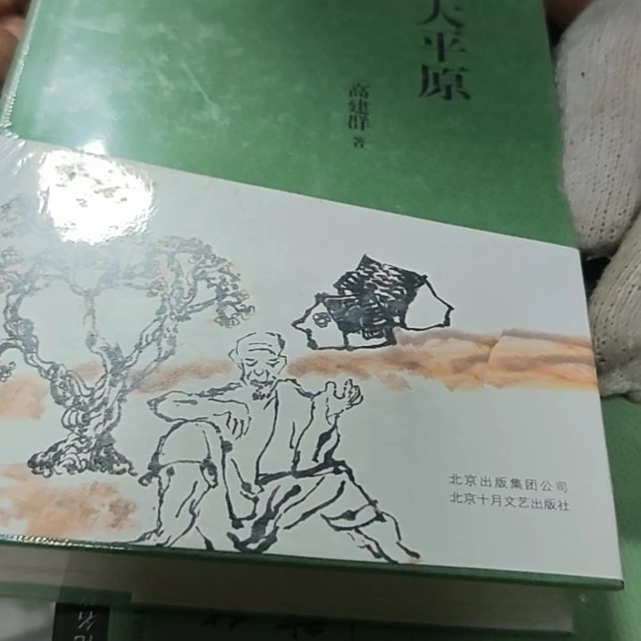 大平原精装库存书