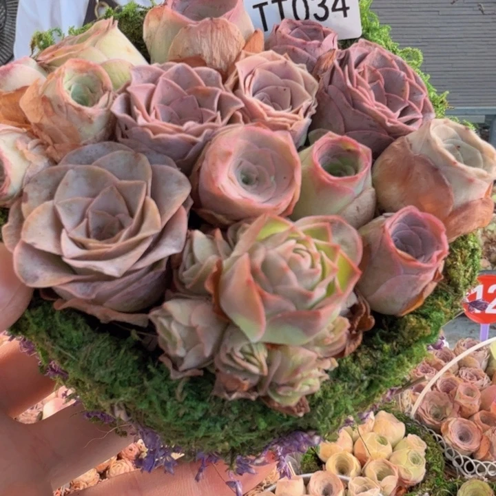 TT034 苔藓花篮玫瑰组合