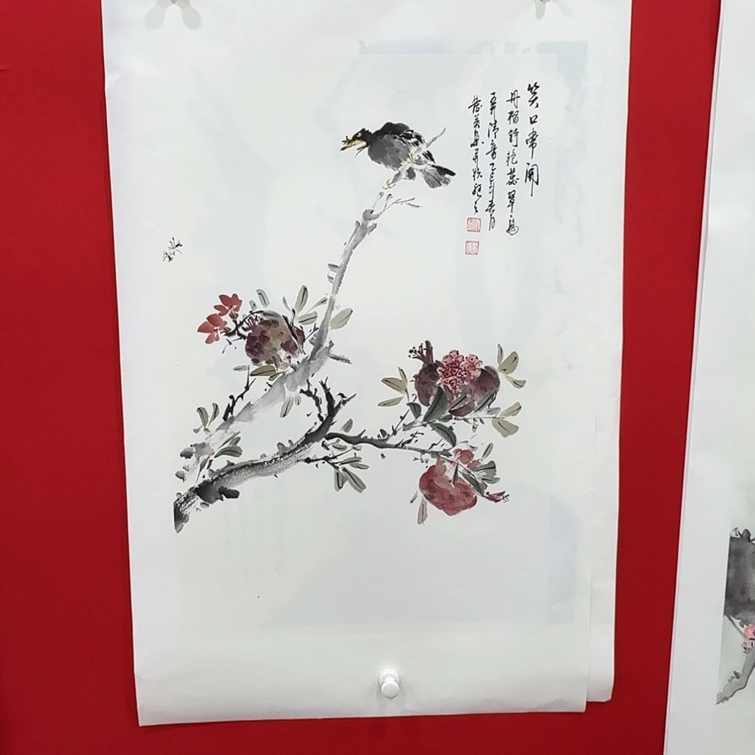 国画新号开播福利多多