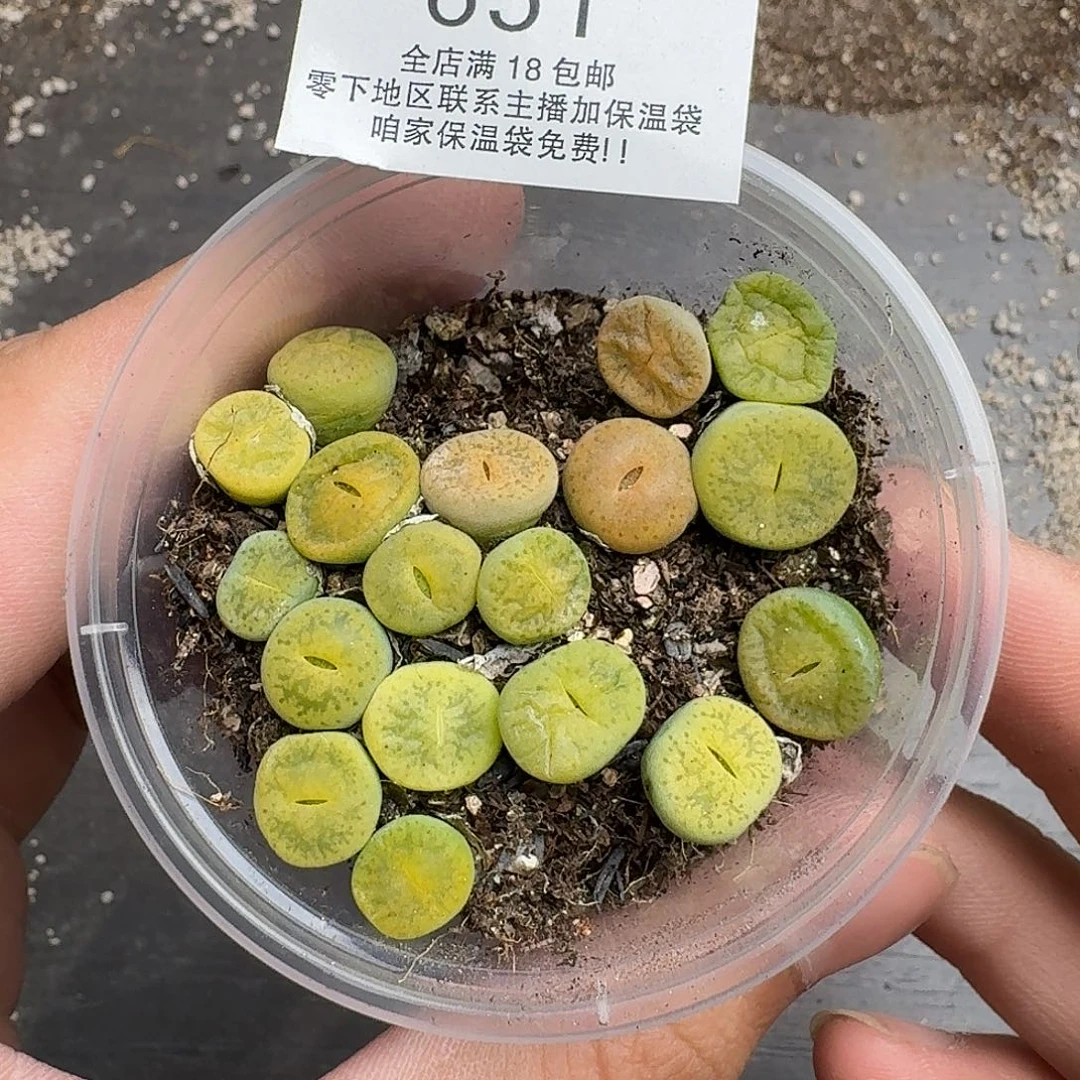 651满18 包邮保温袋联系客服