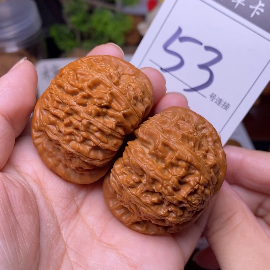 把件文玩核桃53闷尖白狮子头4.5