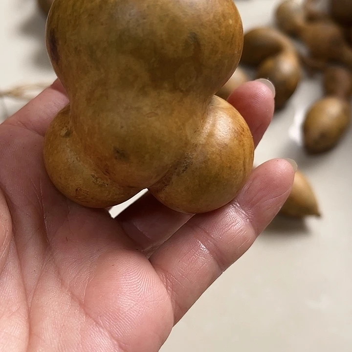 闲***适大叶紫檀（黑酸枝木类）