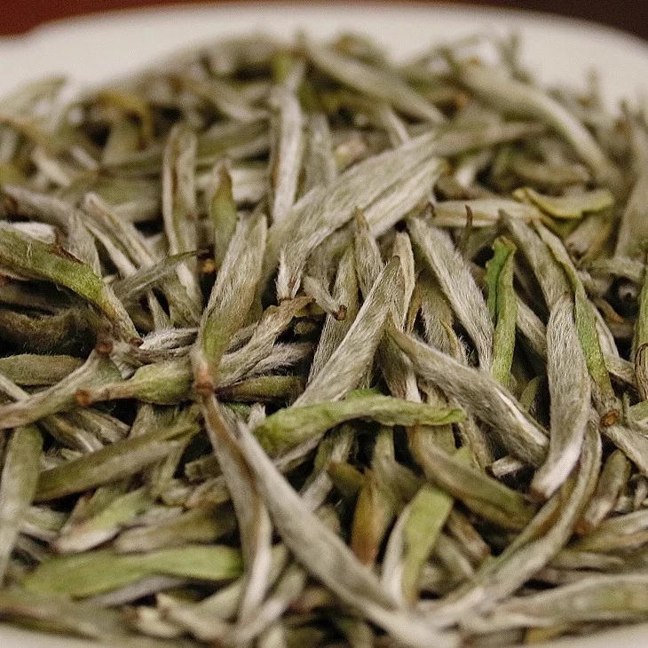 临时链接【头采银针】金谷2025年头采银针500克/铝罐