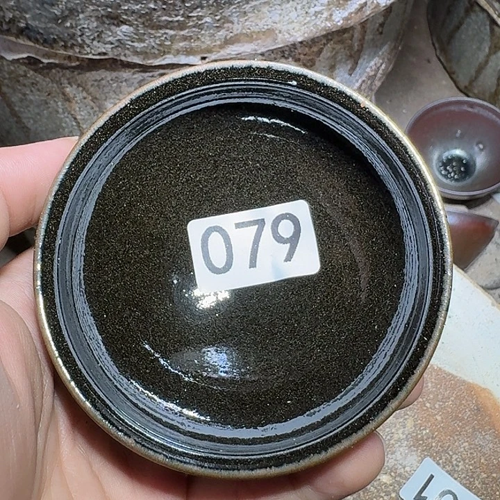 茶盏提出解决农村留守学生入学