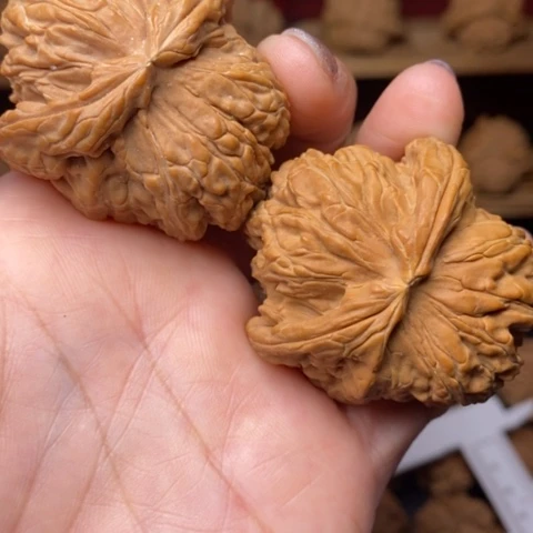 靖***哥文玩核桃把件核桃