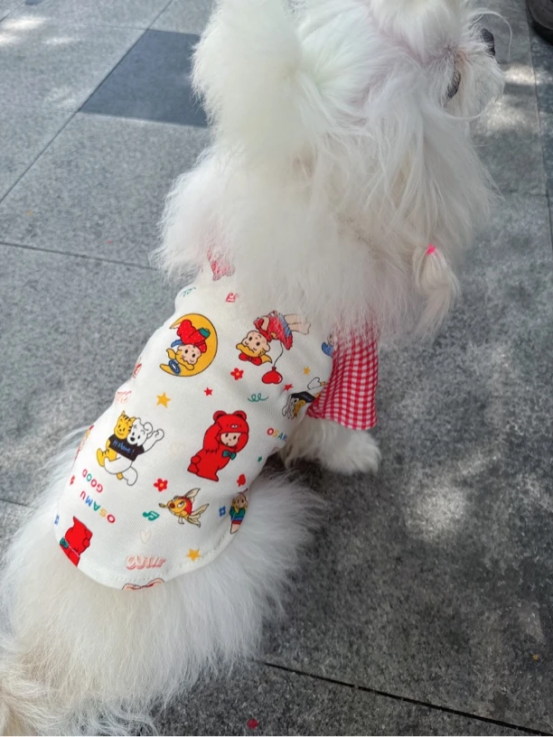 直播过款宠物衣服，不退不换