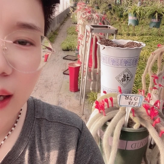 0288脱土发货无售后