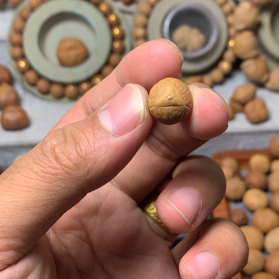 凤眼菩提吊坠?***龙眼