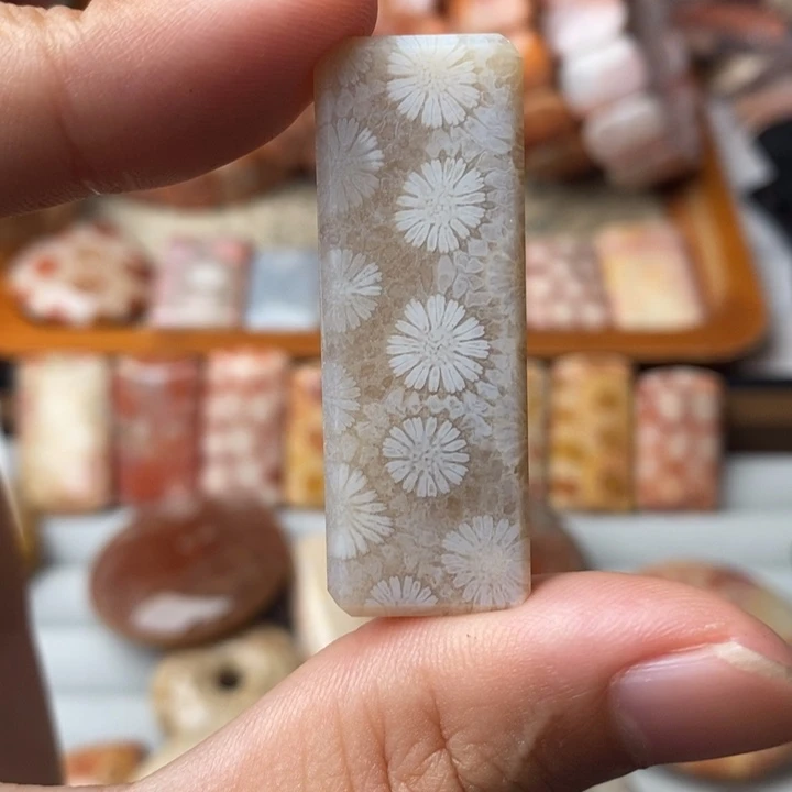 力***景未镶嵌珊瑚玉硅化玉
