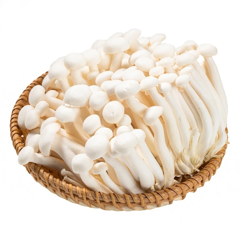 白玉菇 180g/份