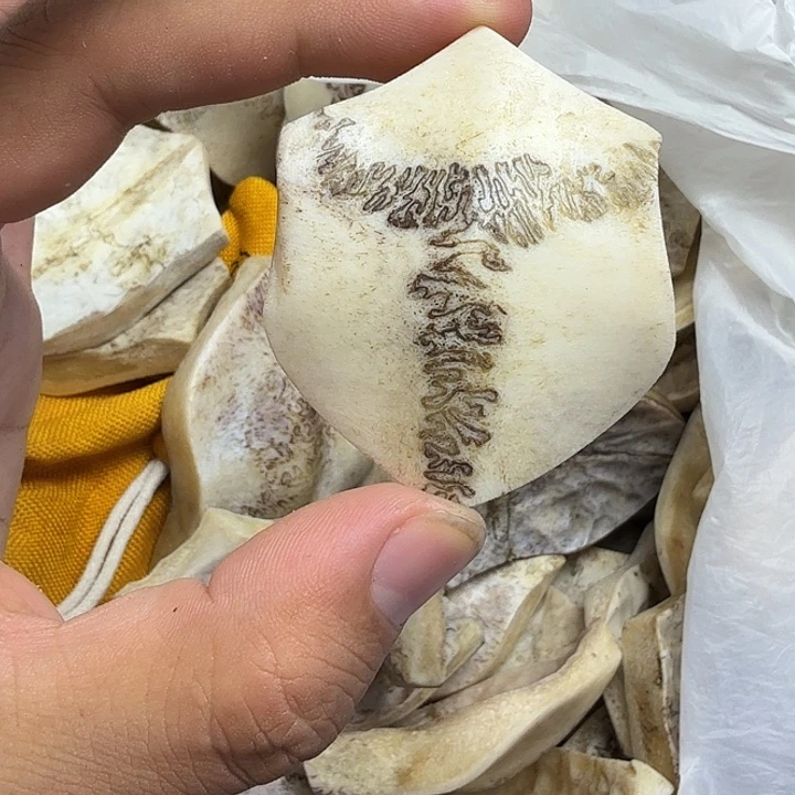 ****花岗石铁合金养殖鹿头骨制作三界牌