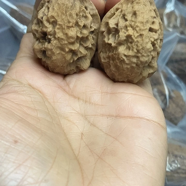 把件文玩核桃云南铁核桃基地66