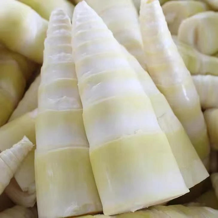 新鲜腌制老坛酸笋2斤脆嫩炒鸭肉