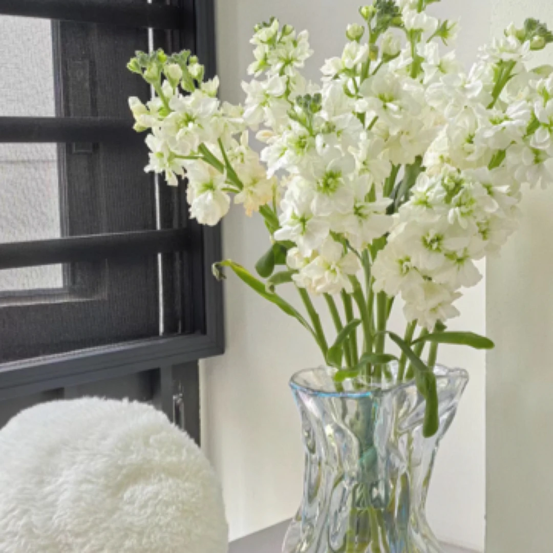 【不止是花〗草花配花类（任意两单升级快递/带包装醒花）