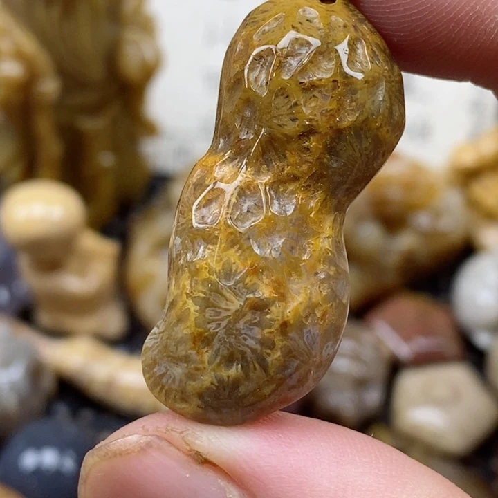 颈饰未镶嵌硅化珊瑚（珊瑚玉）