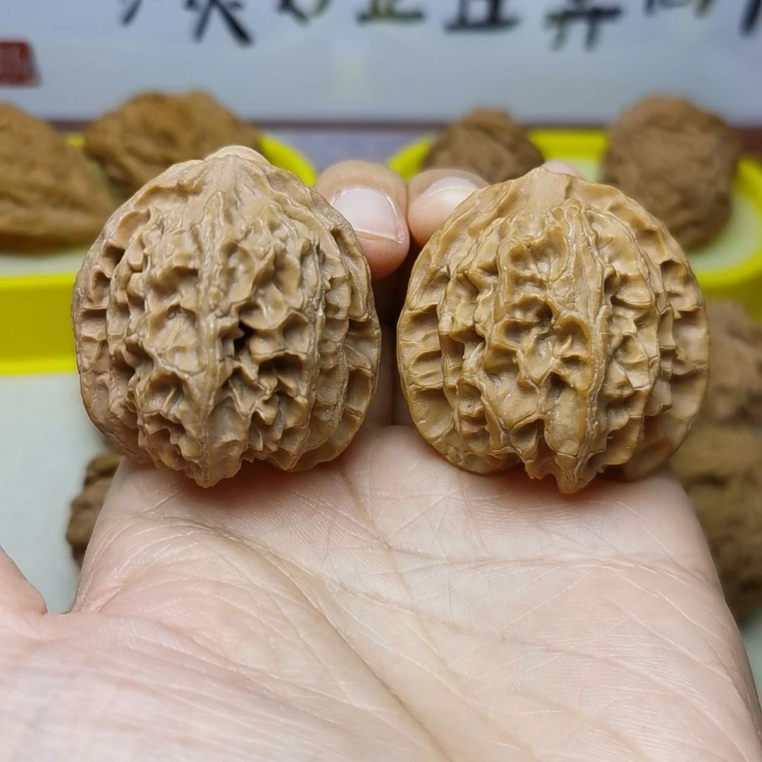 40尺全品苹果园 全家福尺寸