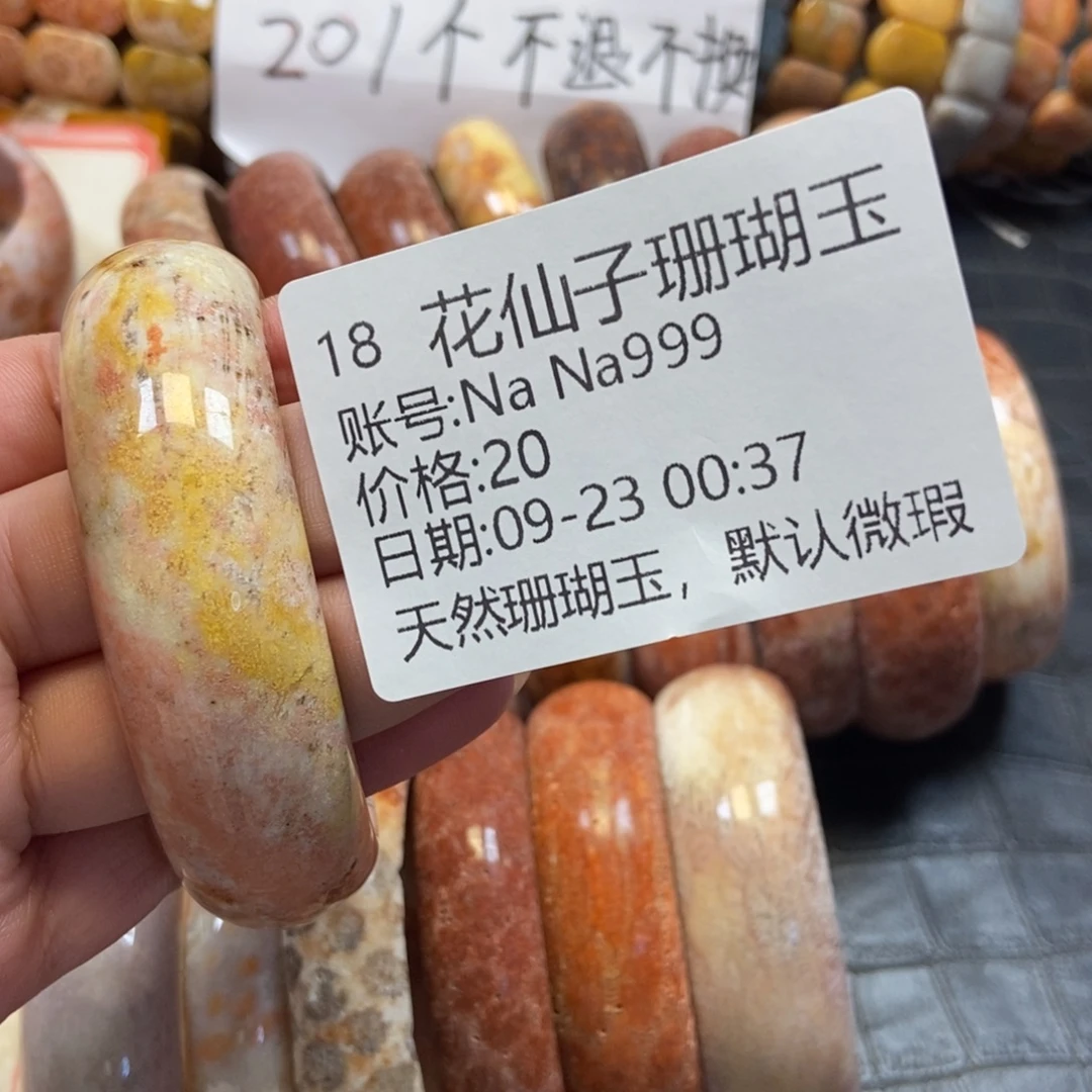 N***9未镶嵌硅化珊瑚（珊瑚玉）珠宝半成品18