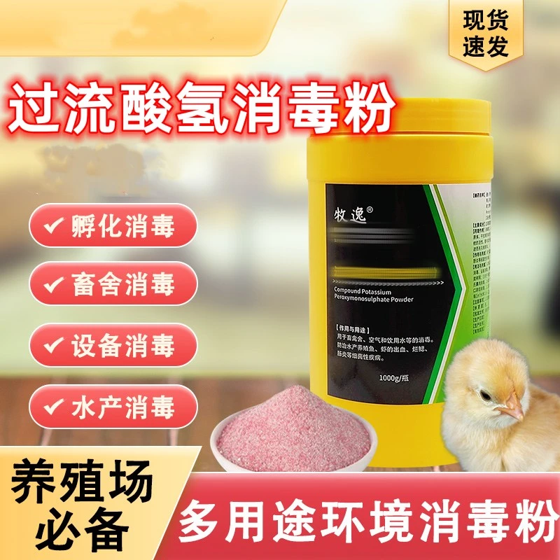 养殖场常备品过硫酸氢钾复合物粉猪牛羊禽宠物猫狗通用兽用1000g